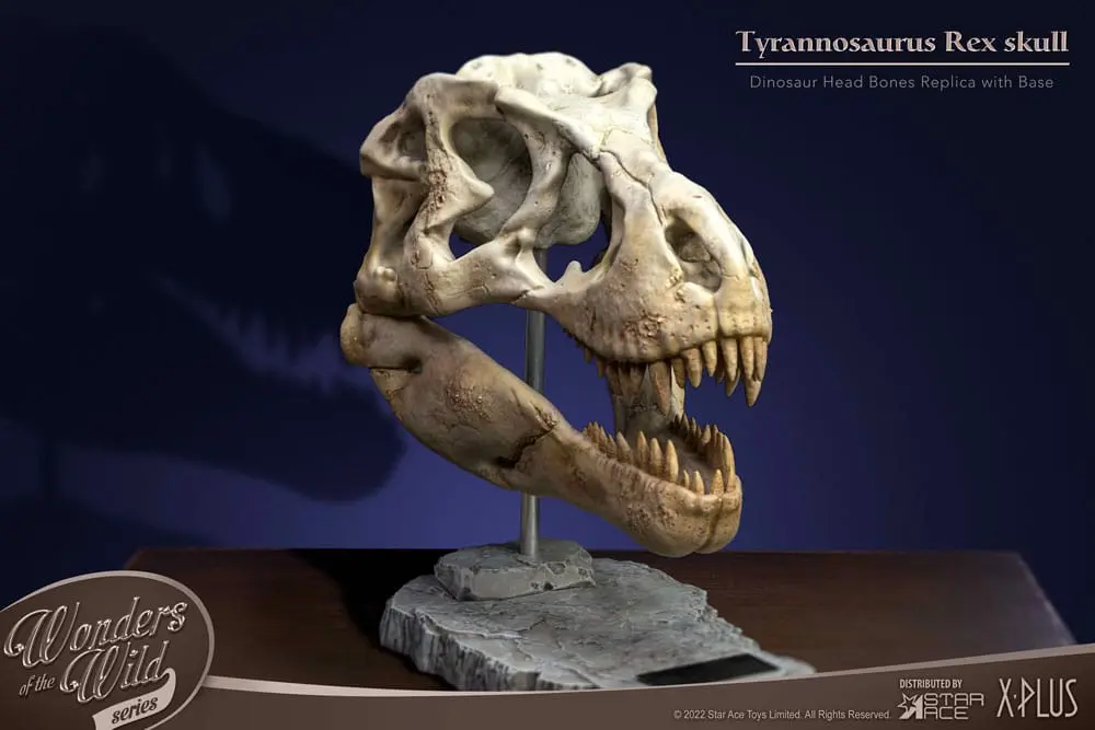 Wonders of the Wild Series Statue T-Rex Head Skull 30 cm product photo