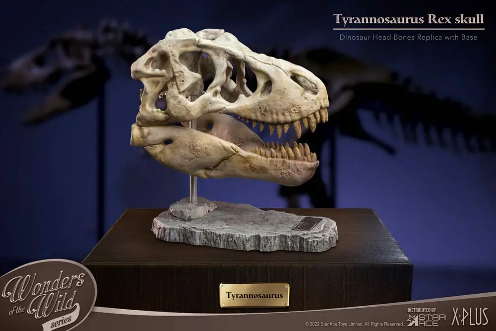 Wonders of the Wild Series Statue T-Rex Head Skull 30 cm product photo