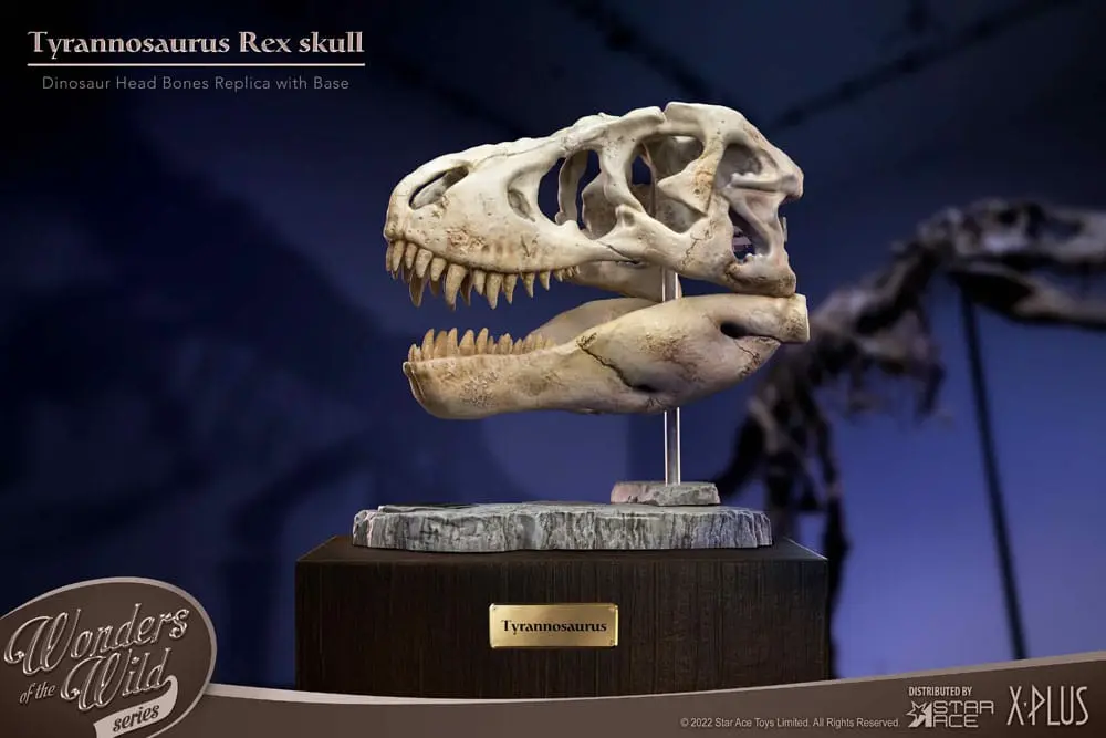 Wonders of the Wild Series Statue T-Rex Head Skull 30 cm product photo
