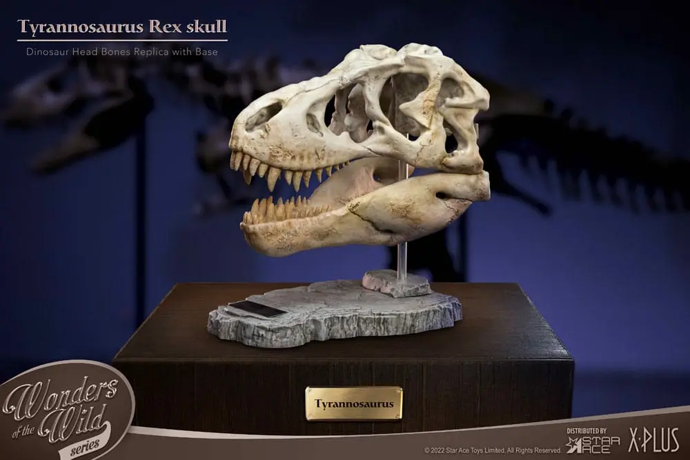 Wonders of the Wild Series Statue T-Rex Head Skull 30 cm product photo