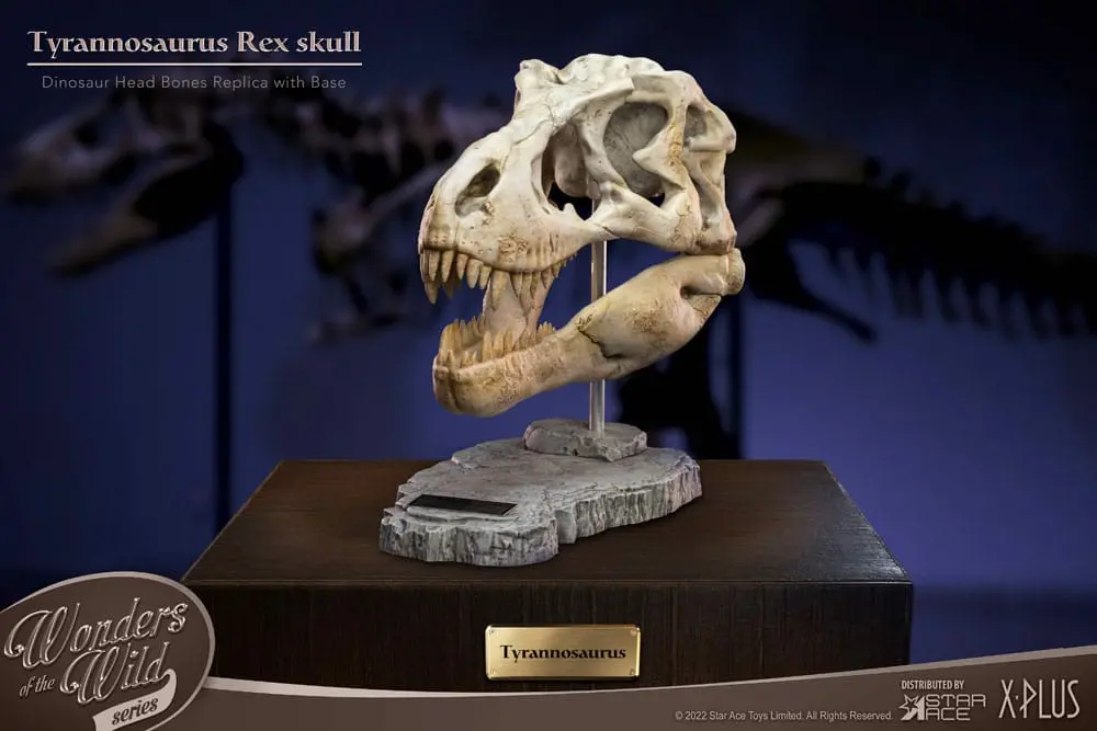 Wonders of the Wild Series Statue T-Rex Head Skull 30 cm product photo