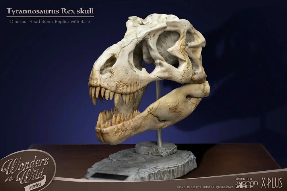 Wonders of the Wild Series Statue T-Rex Head Skull 30 cm product photo