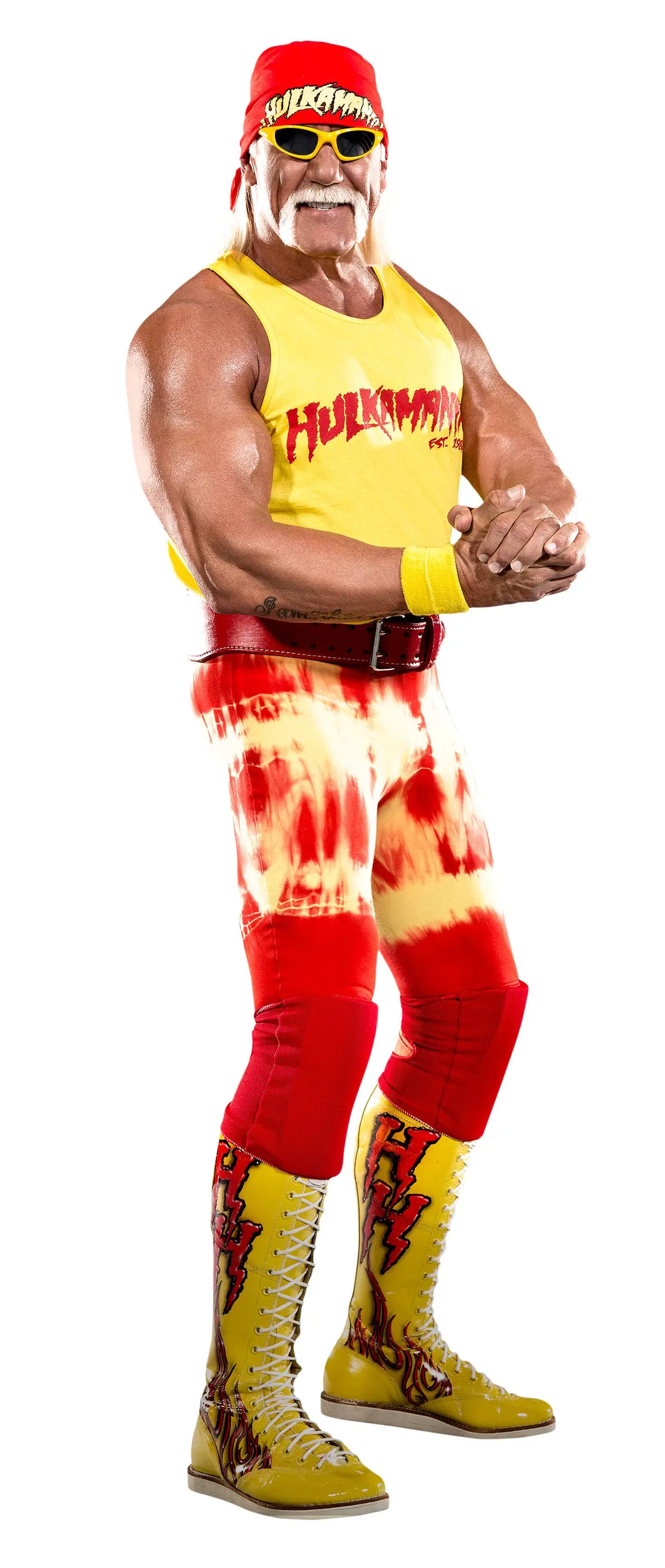 WWE HeroClix Expansion Pack: Hulk Hogan product photo