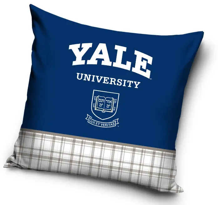 Yale Pillow Case 40*40 cm product photo