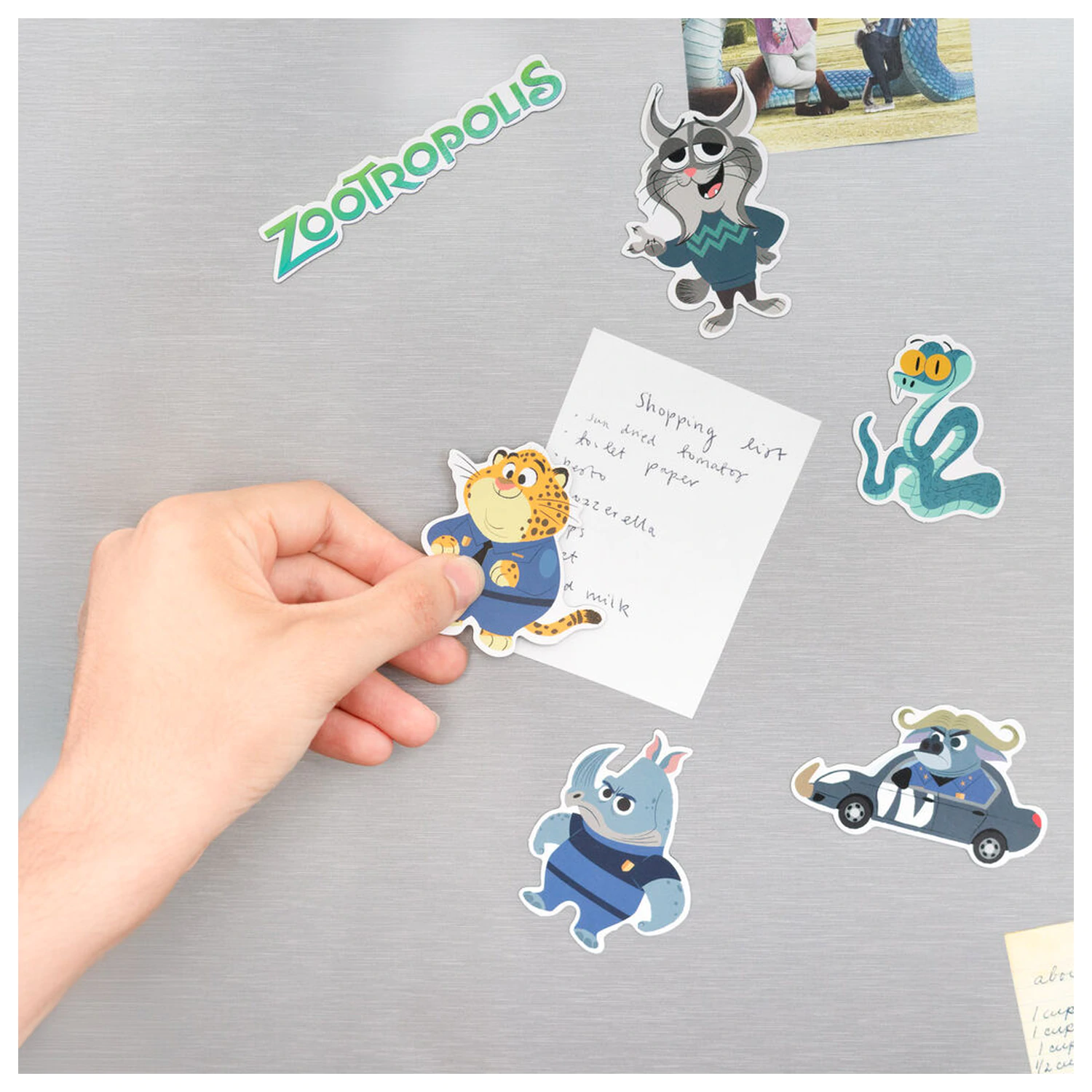Zootopia 2 Magnet set product photo