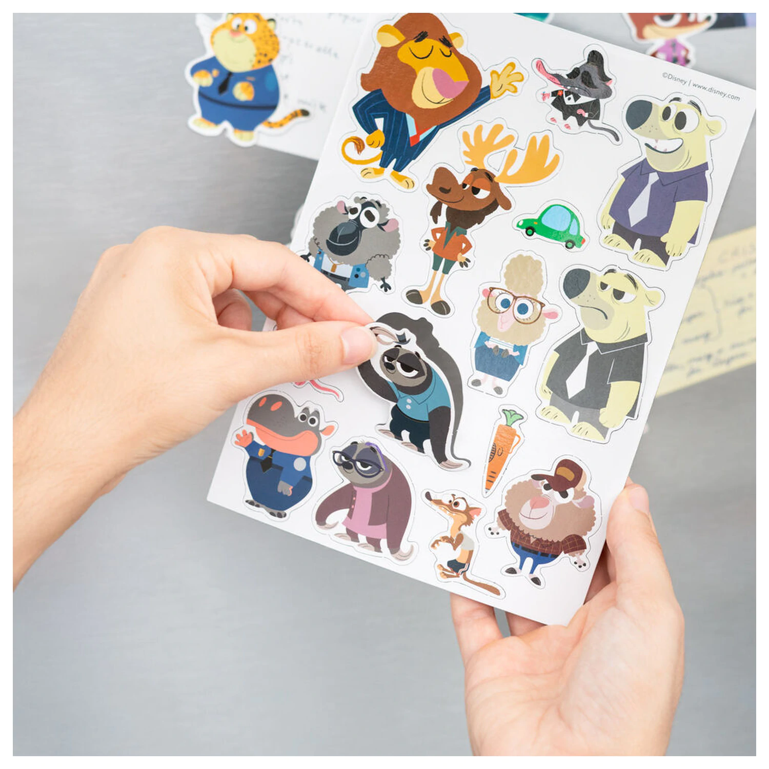 Zootopia 2 Magnet set product photo