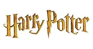 Puzzle 3D effect: Harry Potter: Night Hogwarts, 500 pieces