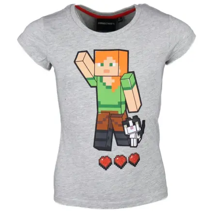 Minecraft Grey Short Sleeve T-Shirt for Kids, Top product photo
