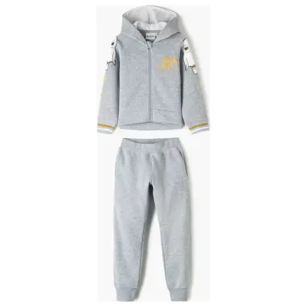 Harry Potter Hedwig Grey Kids' Tracksuit, Jogging Set  product photo