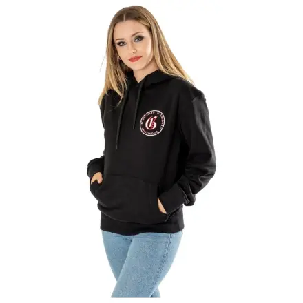 Harry Potter Hooded Sweater Gryffindor  product photo