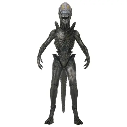 Alien: Earth Ultimate Action Figure Wendy's Xenomorph 18 cm product photo