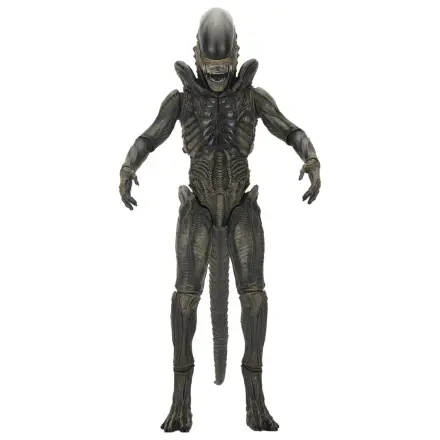 Alien: Earth Ultimate Action Figure Xenomorph 18 cm product photo