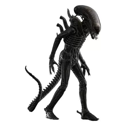 Alien Movie Masterpiece Action Figure 1/6 Big Chap 36 cm product photo