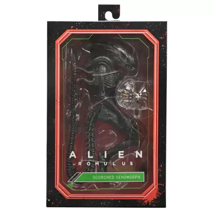 Alien Romulus Scorched Xnomorph Ultimate figure 23cm termékfotója