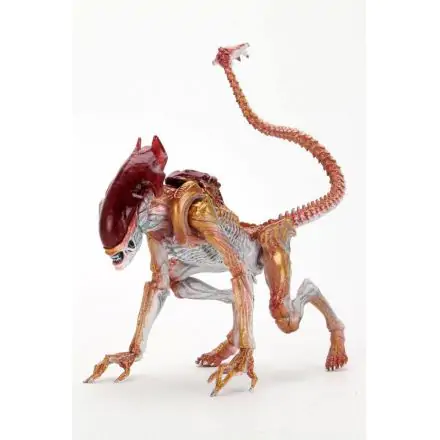 Aliens Action Figure Panther Alien (Kenner Tribute) 23 cm termékfotója