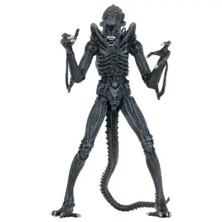 Aliens Ultimate Action Figure Warrior (1986) Blue 23 cm product photo