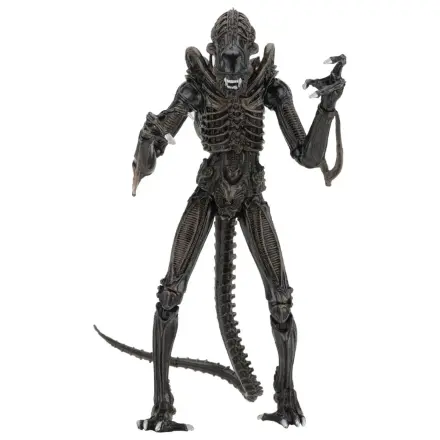 Aliens Ultimate Action Figure Warrior (1986) Brown 23 cm product photo