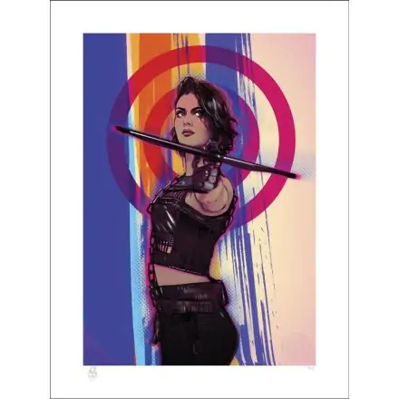 Birds of Prey Art Print Huntress 46 x 61 cm - unframed product photo