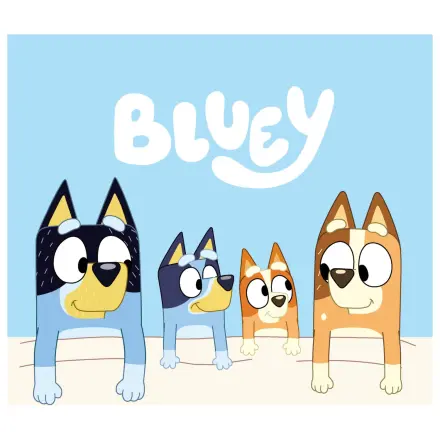Bluey Cozy hand towel, face towel, towel product photo