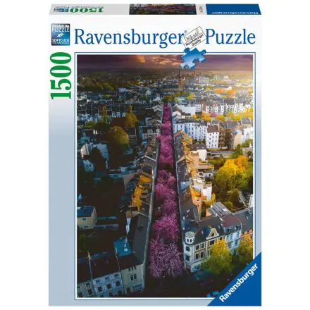 Bonn in flowers puzzle 1500pcs product photo