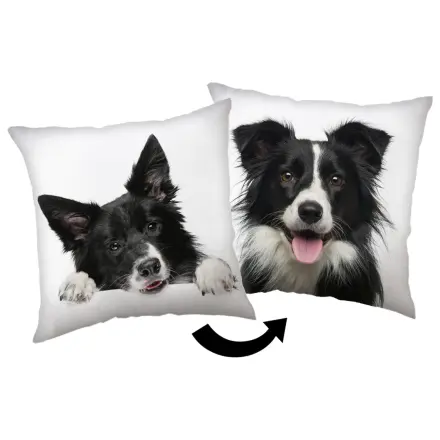 Border Collie pillow product photo