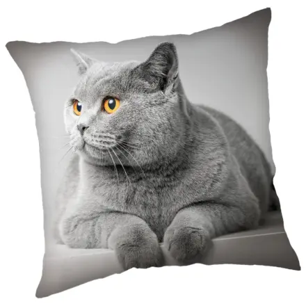 Cats Grey Pillowcase product photo