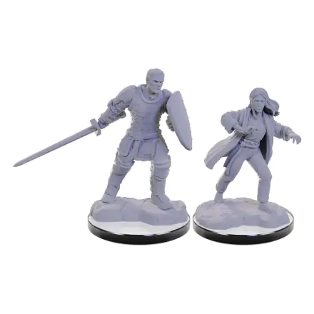 D&D Nolzur's Marvelous Miniatures miniature Unpainted Reborn Paladin & Warlock product photo