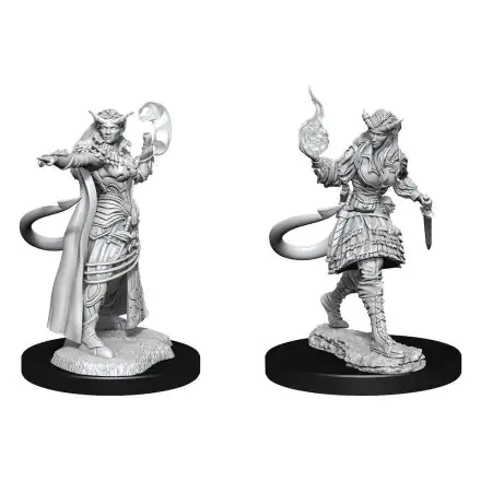 D&D Nolzur's Marvelous Miniatures Unpainted Miniatures Tiefling Sorcerer Female Case (2) product photo