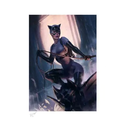 DC Comics Art Print Catwoman Variant 46 x 61 cm - unframed product photo