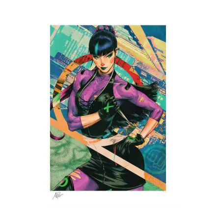 DC Comics Art Print Punchline 46 x 61 cm - unframed product photo