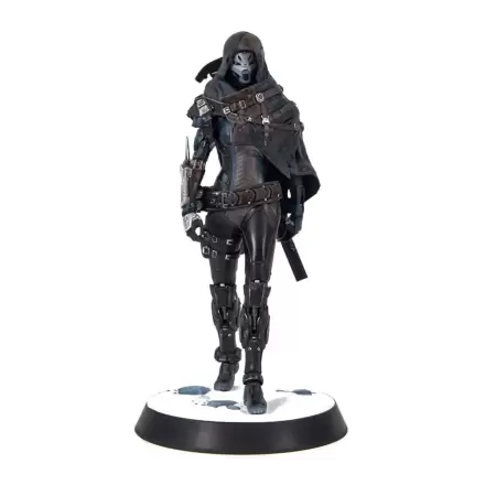 Destiny PVC Statue The Stranger 25 cm product photo
