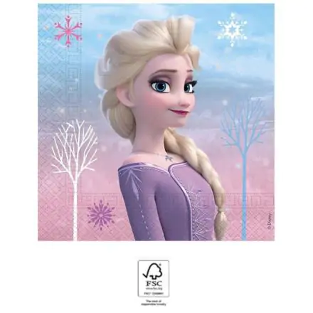 Disney Frozen II Wind Spirit, Disney Frozen Napkins 20 pieces 33x33 cm FSC product photo