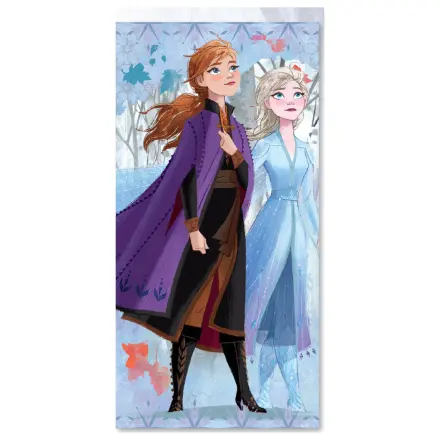 Disney Frozen Sisters Towel product photo