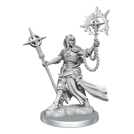 Dungeons & Dragons Frameworks Miniature Model Kit Female Elf Paladin product photo