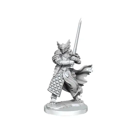 Dungeons & Dragons Frameworks Miniature Model Kit Dragonborn Paladin Male product photo