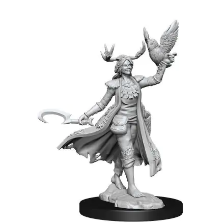 Dungeons & Dragons Frameworks Miniature Model Kit Human Druid Female product photo