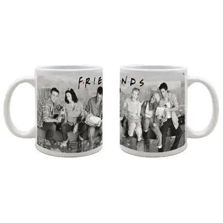 Friends Scaffold mug product photo