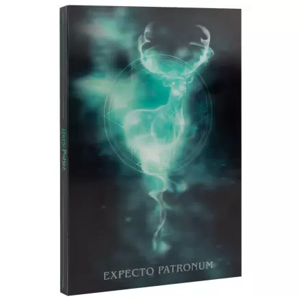 Harry Potter A5 Lenticular notebook product photo
