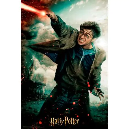 Harry Potter Battle Prime 3D puzzle 300pcs product photo