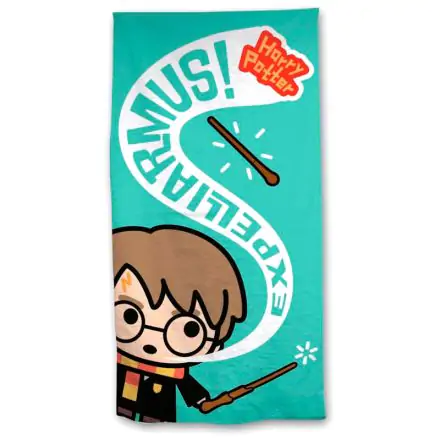 Harry Potter Expelliarmus cotton beach towel product photo