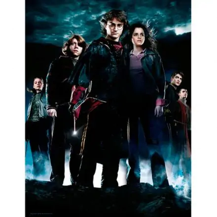 Harry Potter Group glass poster product photo