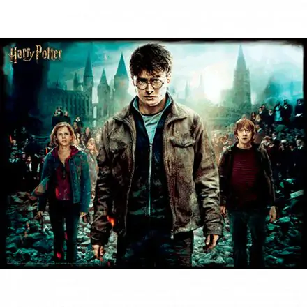 Harry Potter Harry Hermione and Ron Prime 3D puzzle 500pcs product photo