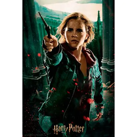 Harry Potter Hermione Prime 3D puzzle 300pcs product photo