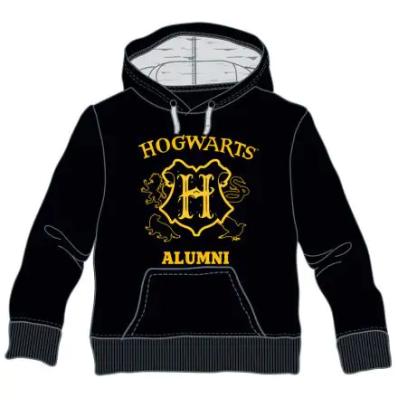 Harry Potter Hogwarts Alumni hoodie termékfotója