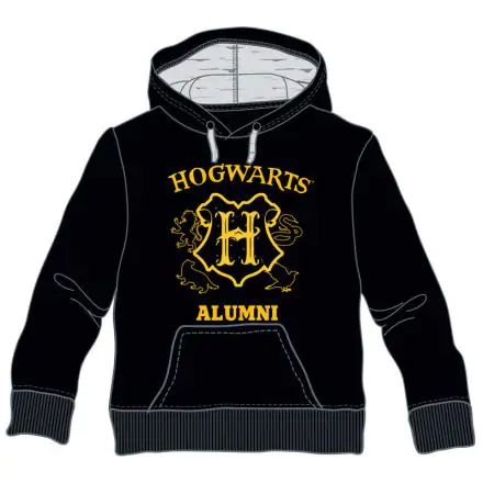Harry Potter Hogwarts Alumni kids hoodie termékfotója