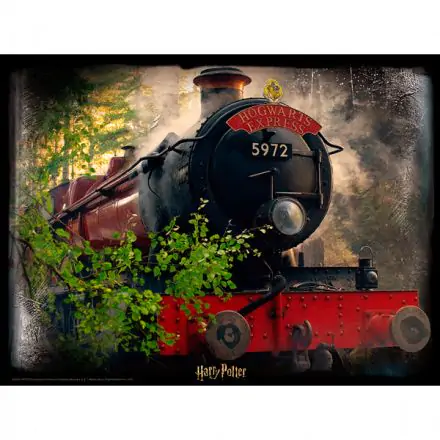 Harry Potter Hogwarts Express Prime 3D puzzle 500pcs product photo