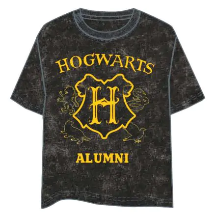 Harry Potter Hogwarts adult t-shirt product photo