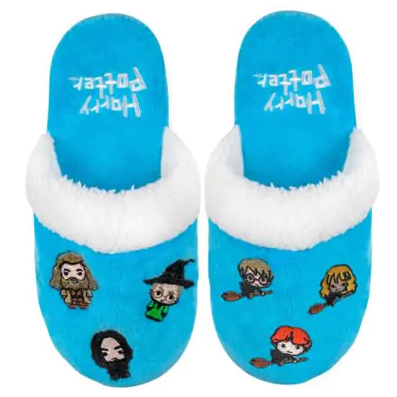 Harry Potter Hogwarts child slippers product photo