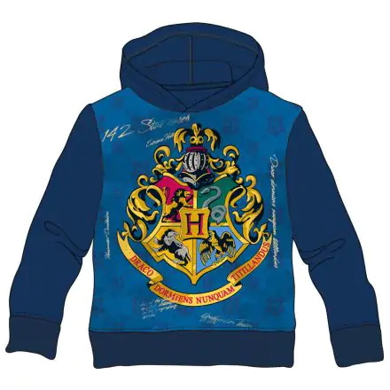 Harry Potter Hogwarts kids hoodie termékfotója