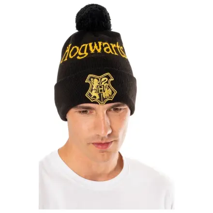 Harry Potter Beanie Hogwarts product photo